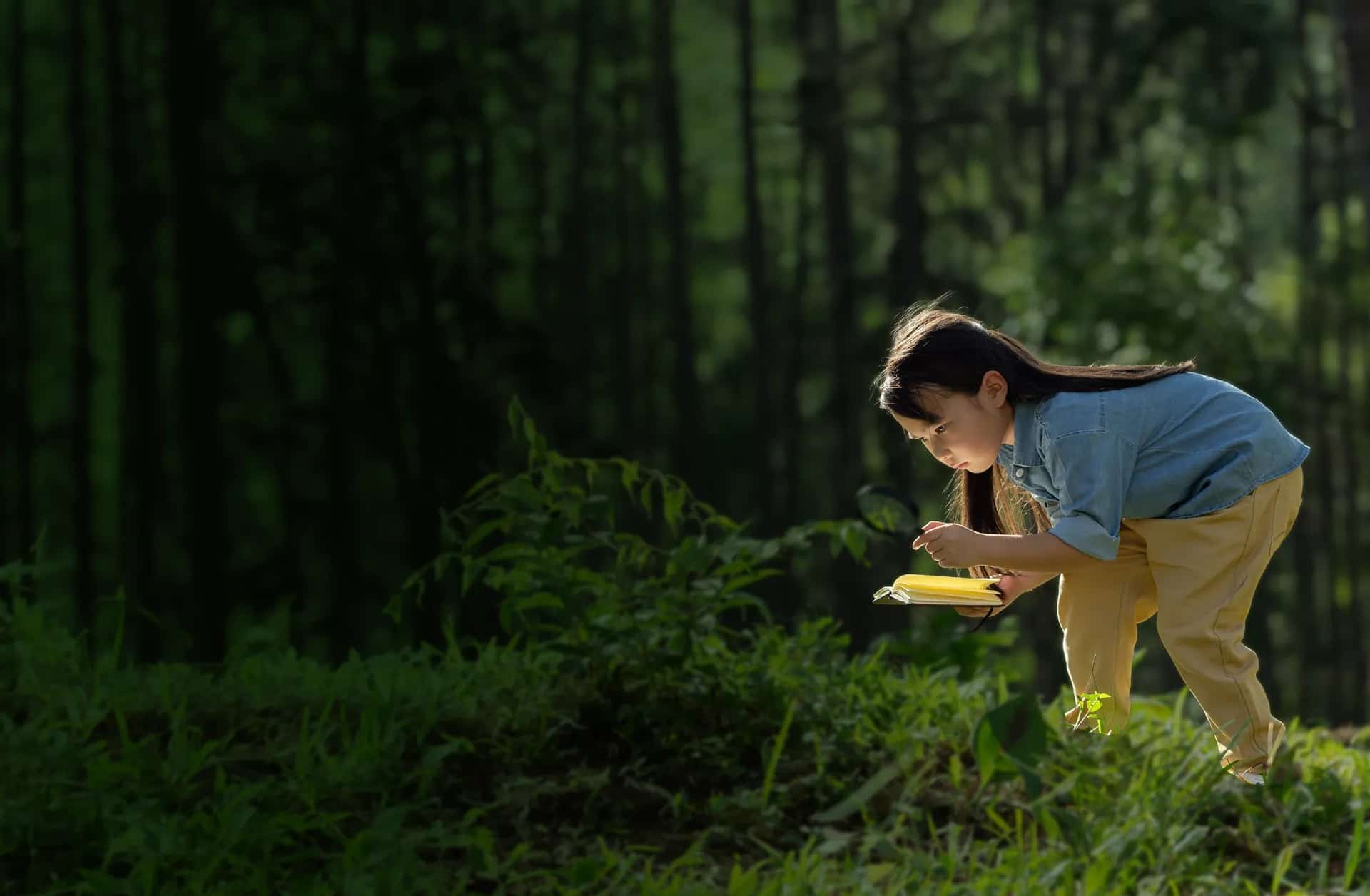Child playing in nature Girl playing in grass at Forest Oasis Nursery