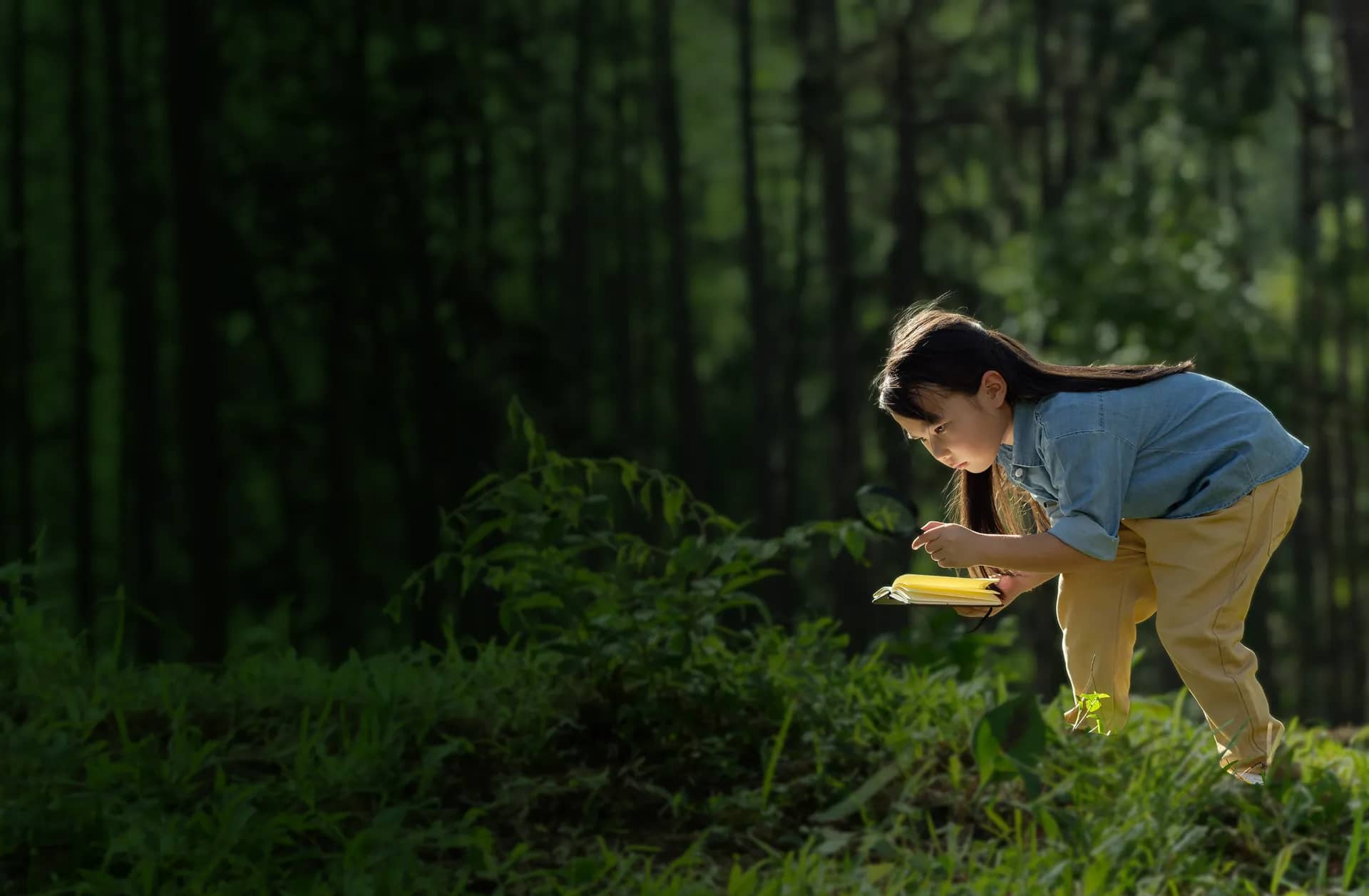 Child playing in nature Girl playing in grass at Forest Oasis Nursery