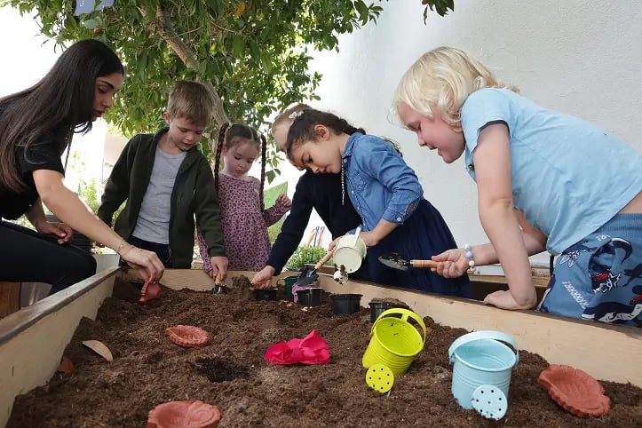 Wonder Garden Wonder Garden